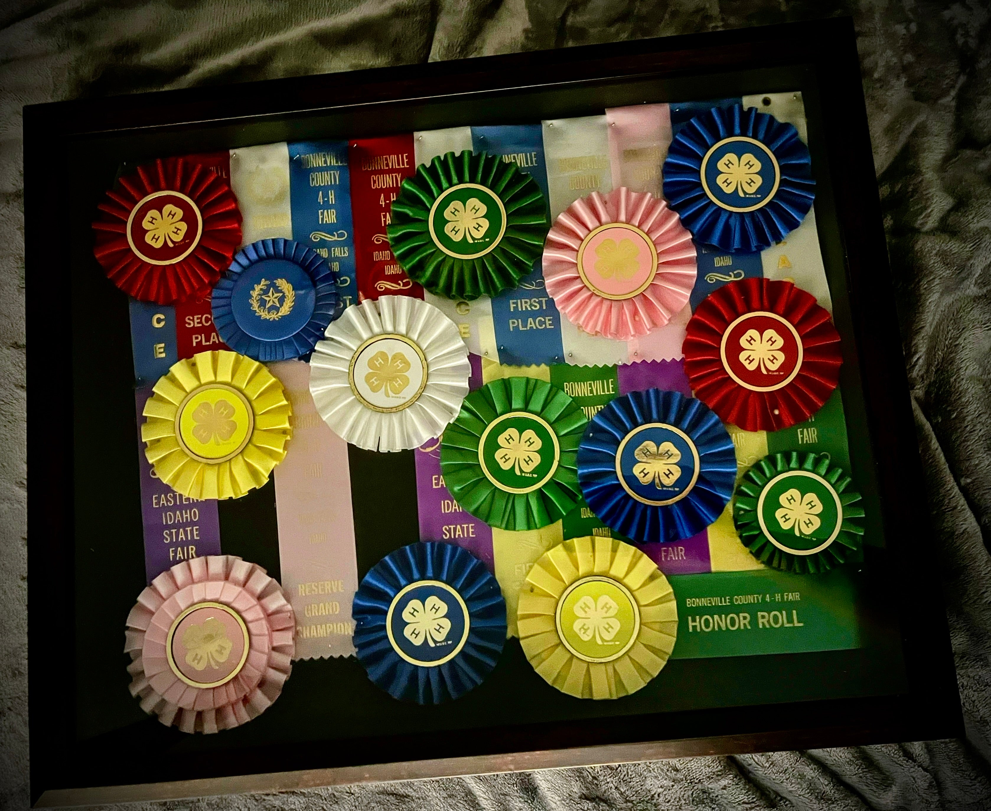 Shadow Boxes
